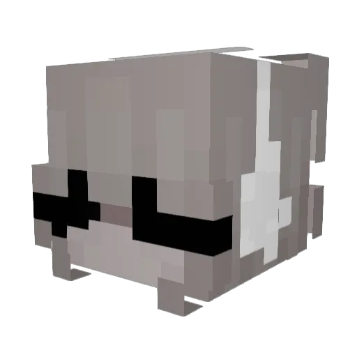 tessasz Minecraft avatar head, 3D render