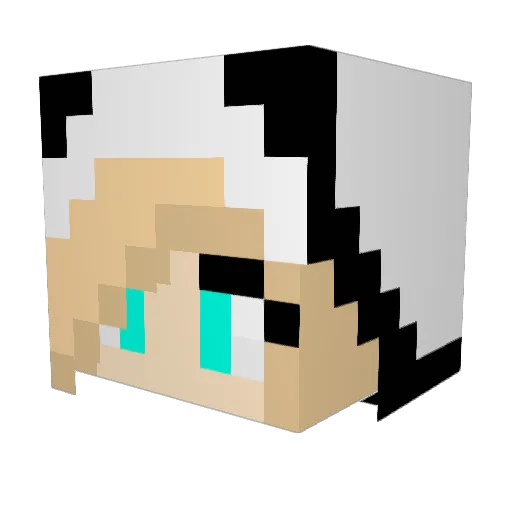 tessy_bear Minecraft avatar head, 3D render