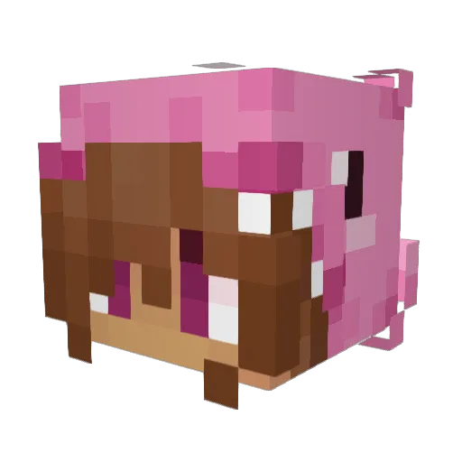 tessz Minecraft avatar head, 3D render