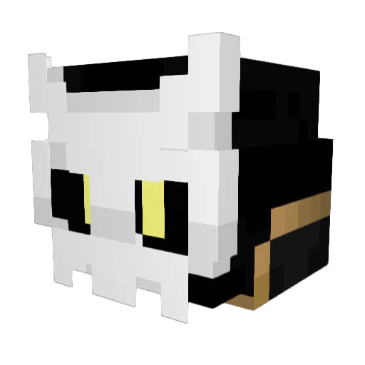 testing8172 Minecraft avatar head, 3D render