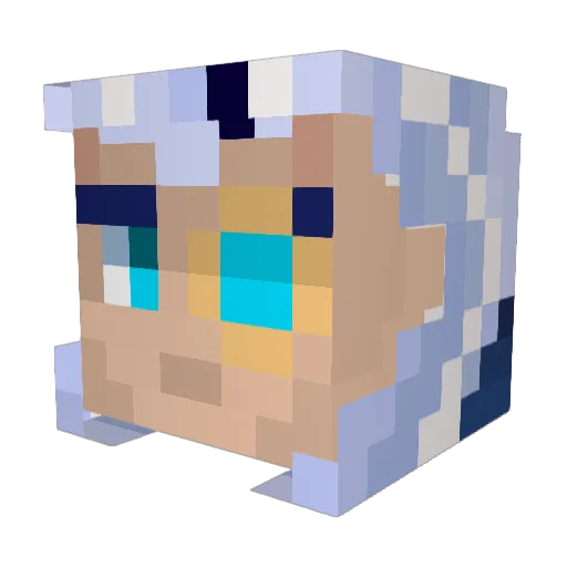 tetanoneonatal34 Minecraft avatar head, 3D render