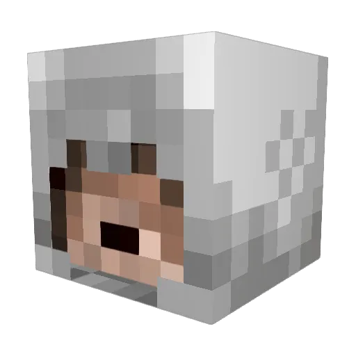 tetz28 Minecraft avatar head, 3D render