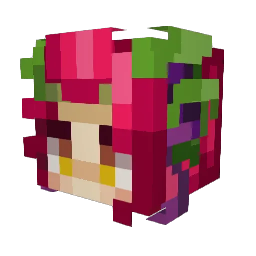 teuffa1 Minecraft avatar head, 3D render