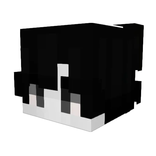 teusx8 Minecraft avatar head, 3D render
