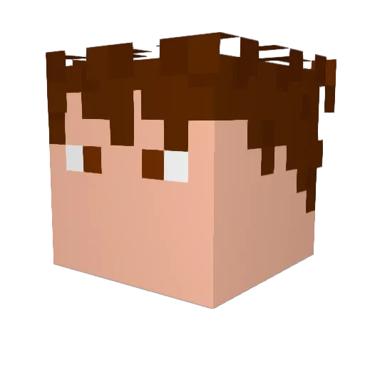 texan69 Minecraft avatar head, 3D render