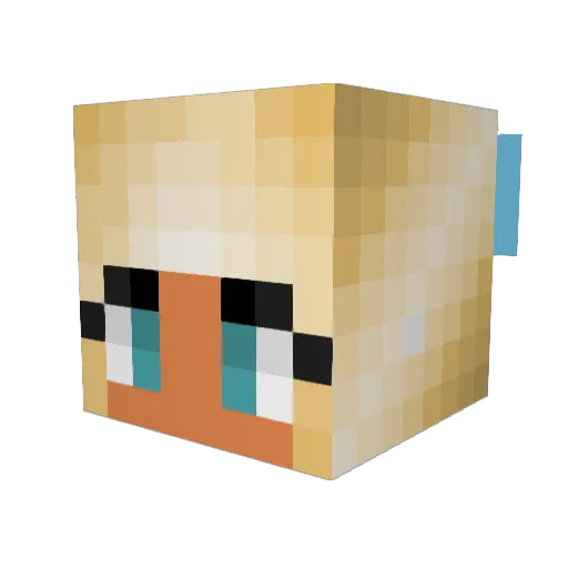 texas56 Minecraft avatar head, 3D render