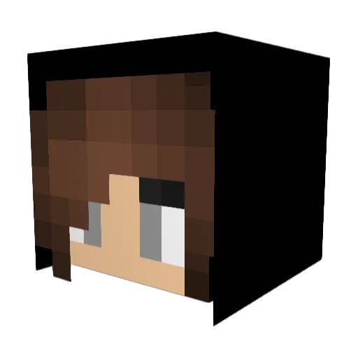texas_jax Minecraft avatar head, 3D render