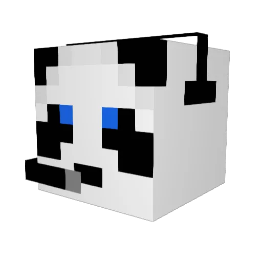 texas_snear5 Minecraft avatar head, 3D render