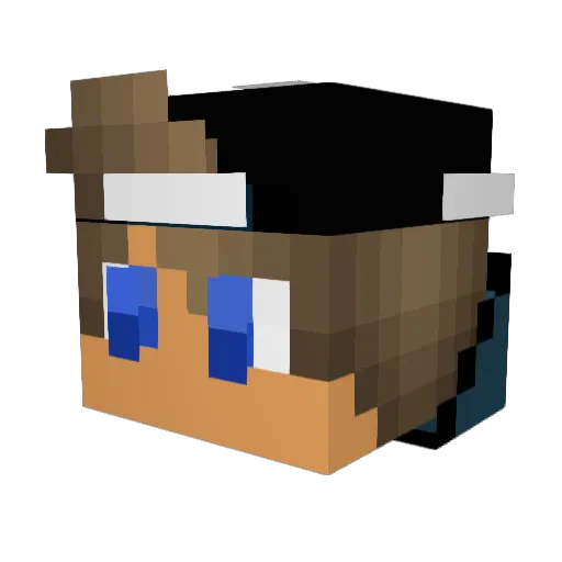 texasblockMASTER Minecraft avatar head, 3D render