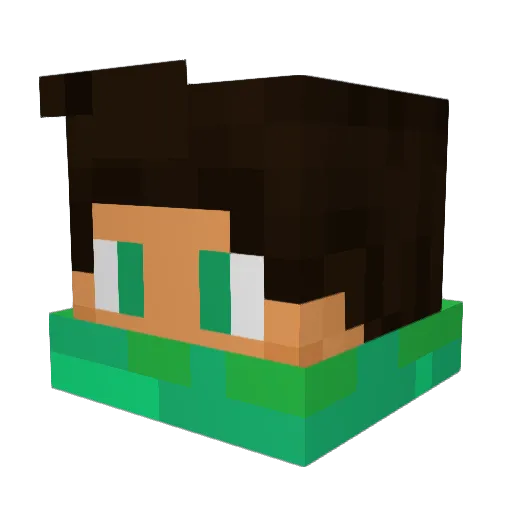 texasninja Minecraft avatar head, 3D render