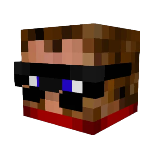 texasparrow Minecraft avatar head, 3D render