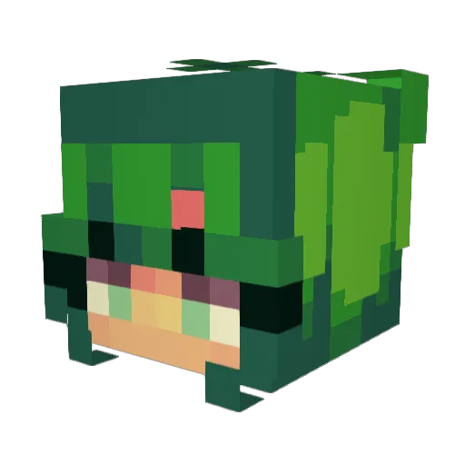 texasrick Minecraft avatar head, 3D render