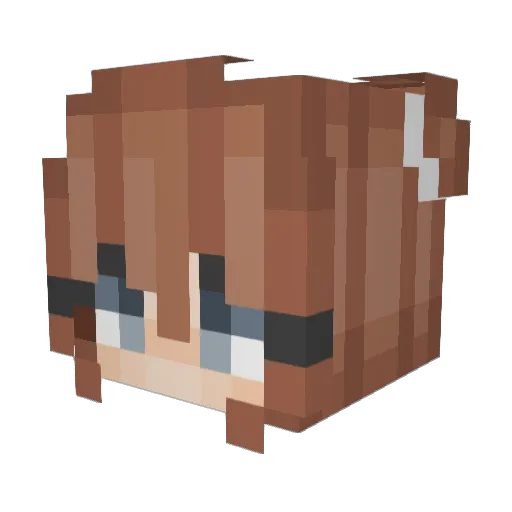 teyloro Minecraft avatar head, 3D render