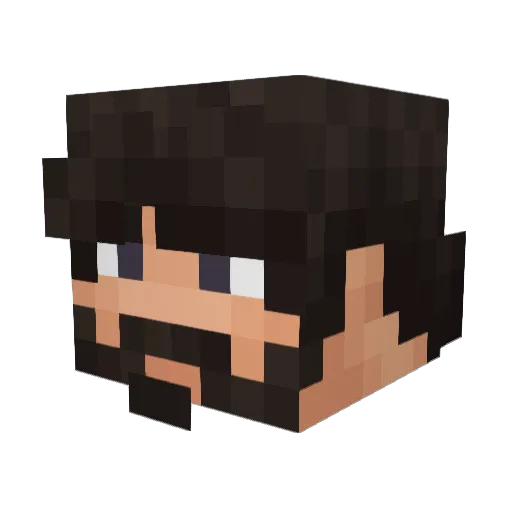 tf_palmer Minecraft avatar head, 3D render