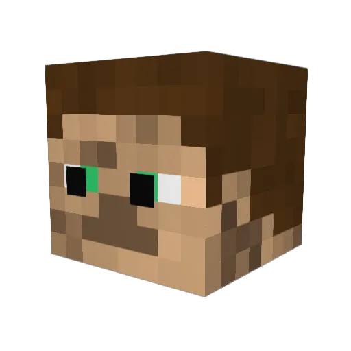 tfa550 Minecraft avatar head, 3D render