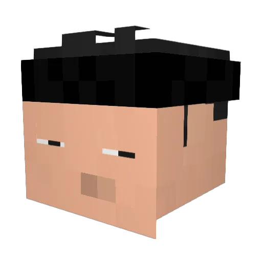 tfao Minecraft avatar head, 3D render
