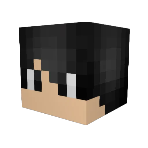 tfcdw Minecraft avatar head, 3D render