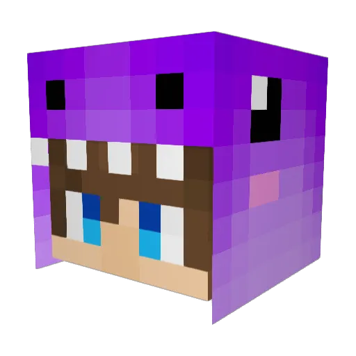 tfelton02 Minecraft avatar head, 3D render
