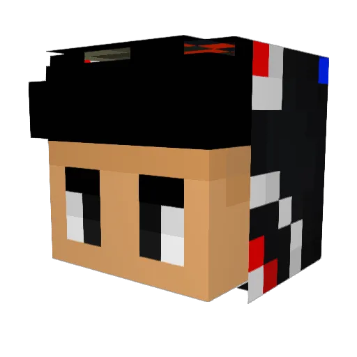 tfgcf5 Minecraft avatar head, 3D render