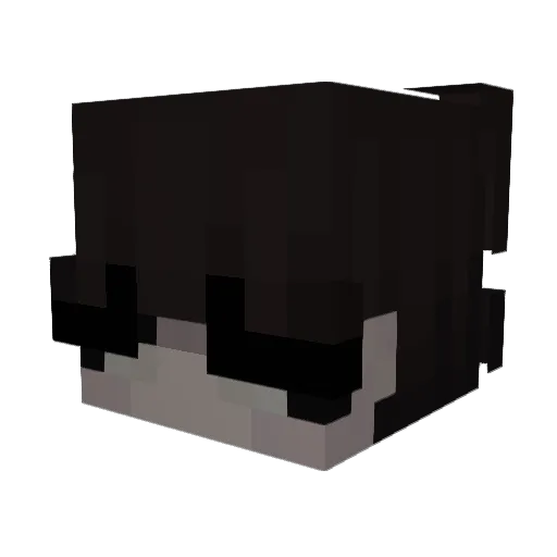 tfhr Minecraft avatar head, 3D render