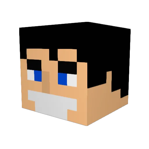 tfields141 Minecraft avatar head, 3D render