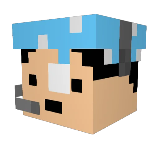 tfptfp Minecraft avatar head, 3D render