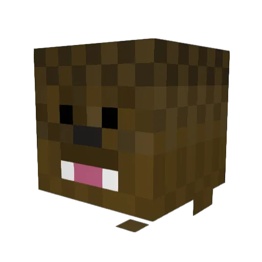 tfrank377 Minecraft avatar head, 3D render