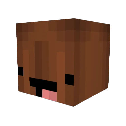 tfrdawesome Minecraft avatar head, 3D render