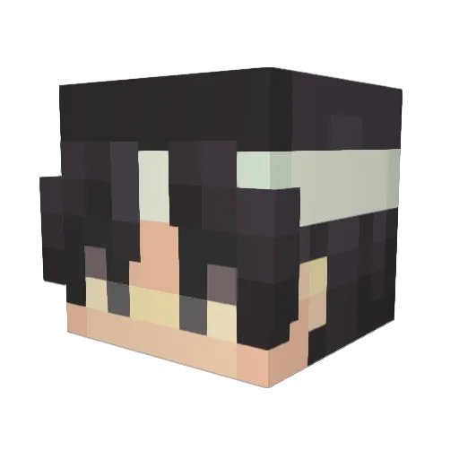 tfsminecraft2 Minecraft avatar head, 3D render