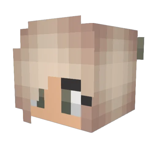 tftii Minecraft avatar head, 3D render