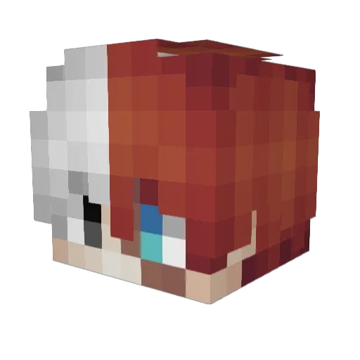 tfunnyman4 Minecraft avatar head, 3D render