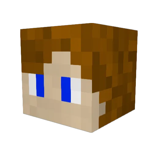 tgscoders01 Minecraft avatar head, 3D render
