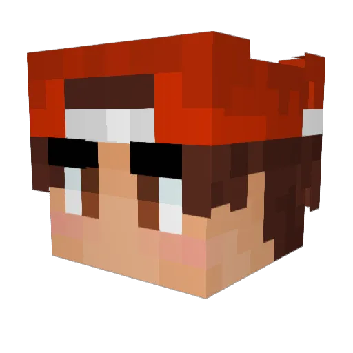 tgtboy Minecraft avatar head, 3D render