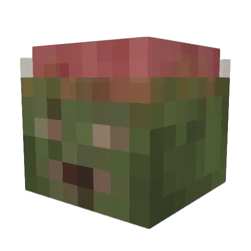 tgy_au Minecraft avatar head, 3D render
