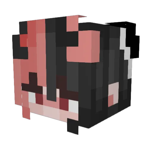 th3sauc3g0d Minecraft avatar head, 3D render