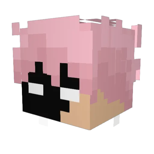 thISBACK Minecraft avatar head, 3D render