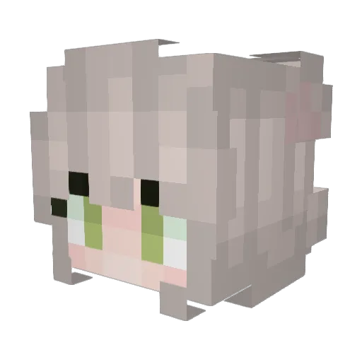 thaatscool Minecraft avatar head, 3D render