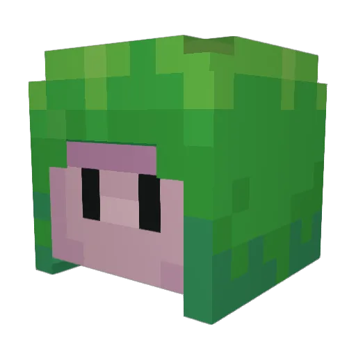 thaboar Minecraft avatar head, 3D render
