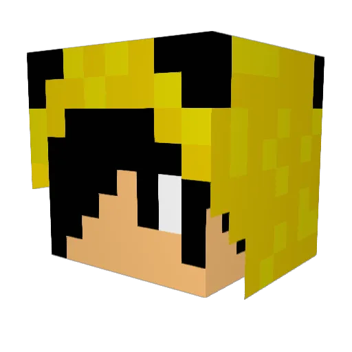 thank52 Minecraft avatar head, 3D render