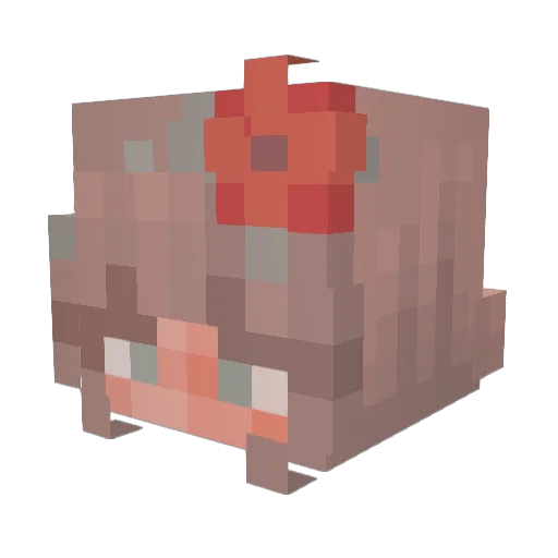 thanks_china Minecraft avatar head, 3D render