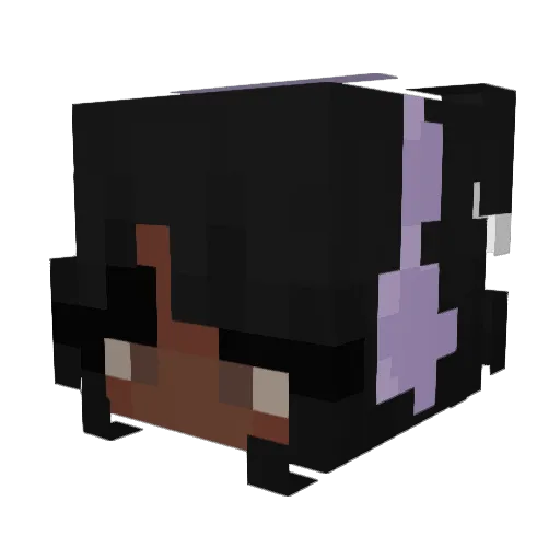 tharifairy Minecraft avatar head, 3D render