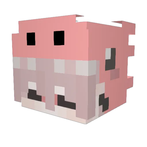 that1dude1995 Minecraft avatar head, 3D render