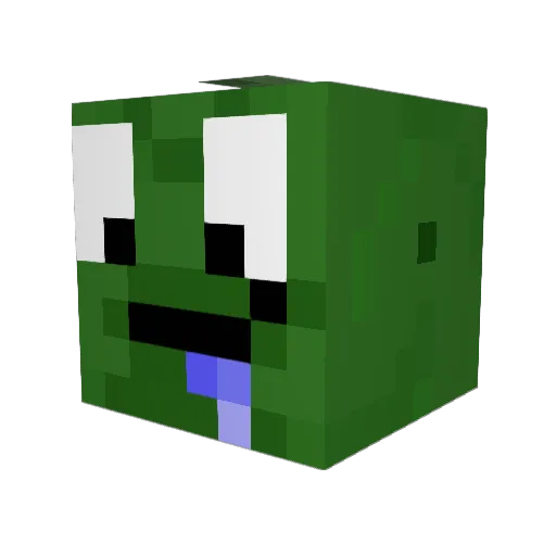 that2socknugget Minecraft avatar head, 3D render