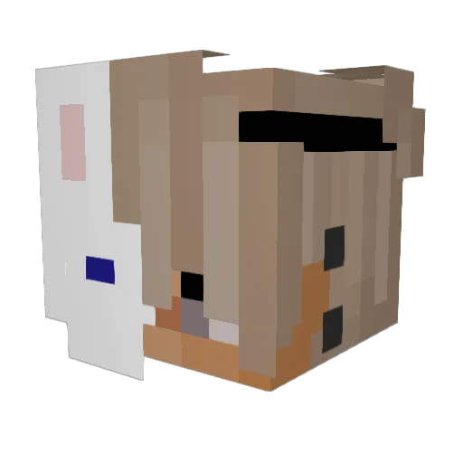 thatWhiteboy98 Minecraft avatar head, 3D render