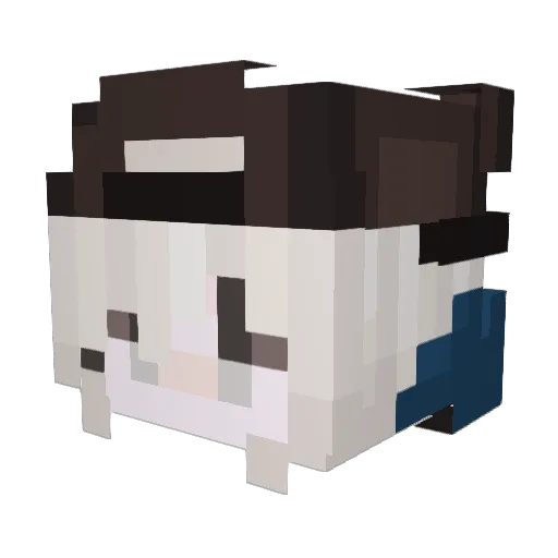 that_weirdo666 Minecraft avatar head, 3D render