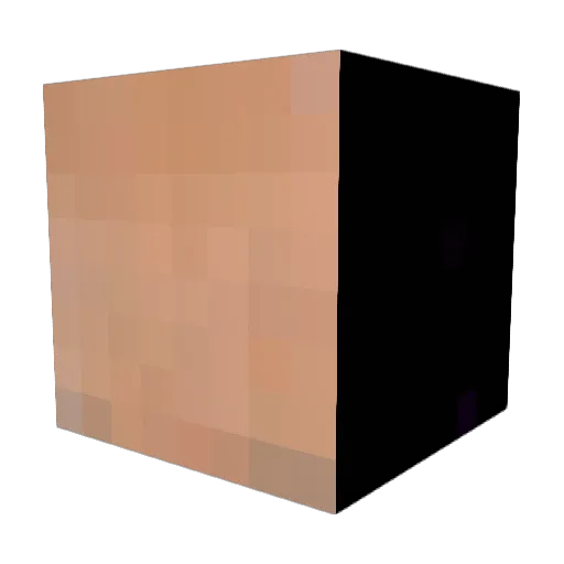 thatawesomeguy99 Minecraft avatar head, 3D render