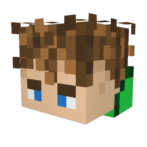 thatcoolguy17 Minecraft avatar head, 3D render