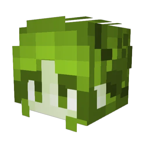 thatgoofygoober Minecraft avatar head, 3D render
