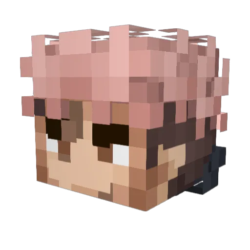 thatguy2613 Minecraft avatar head, 3D render
