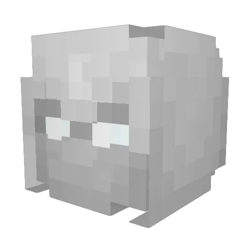 thatguy_41 Minecraft avatar head, 3D render